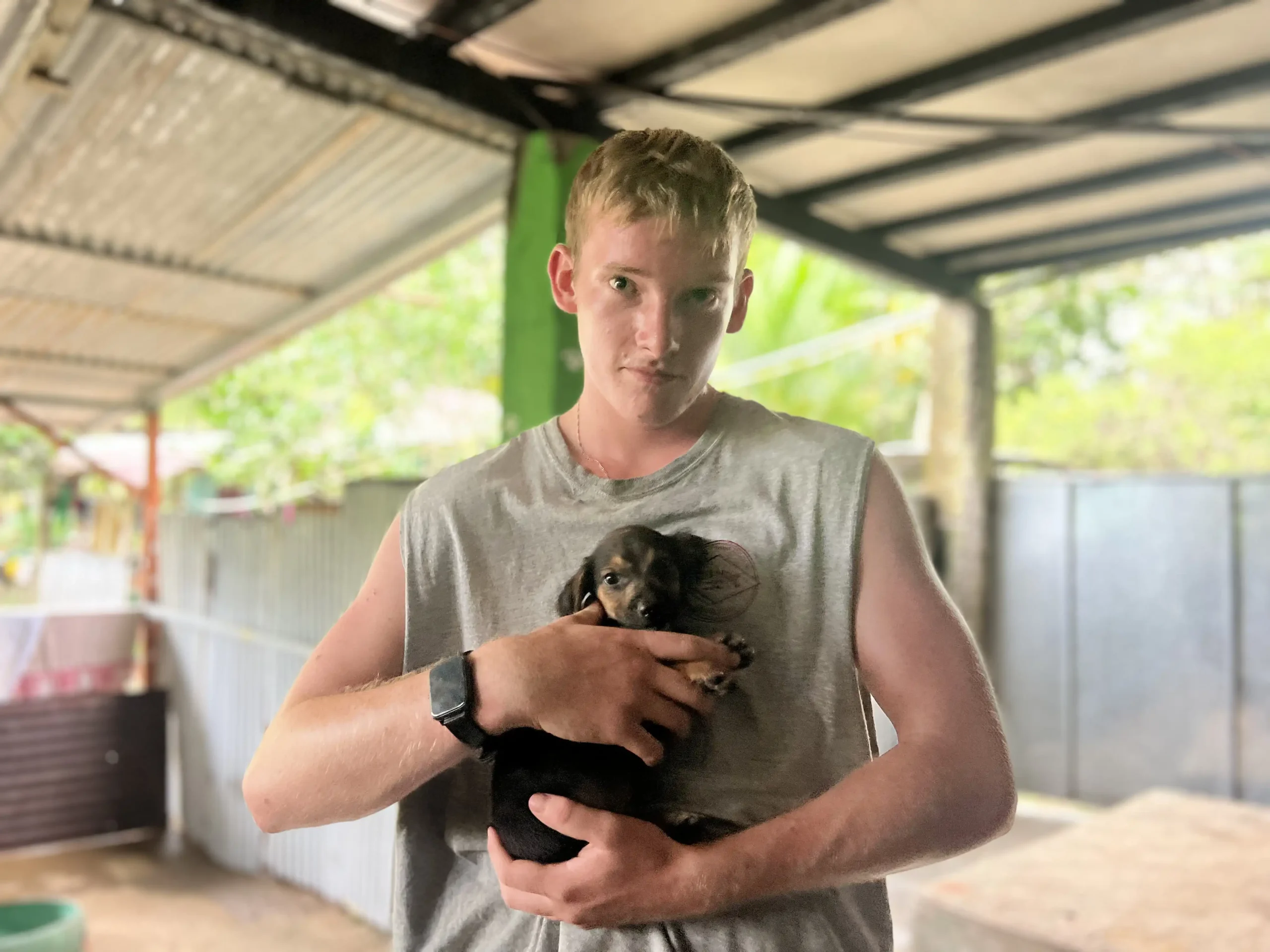 Dog Shelter 2