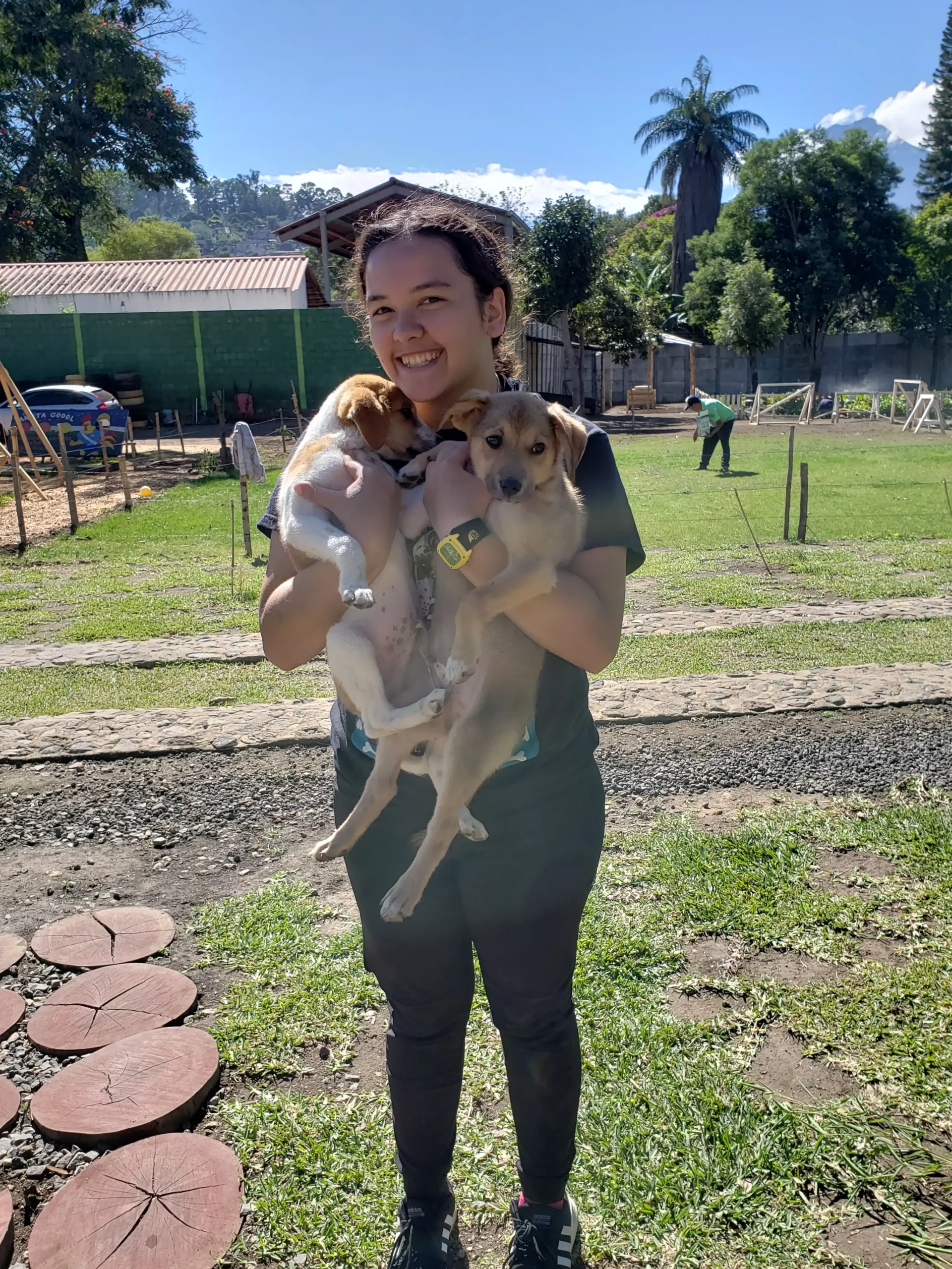 Dog Shelter 23