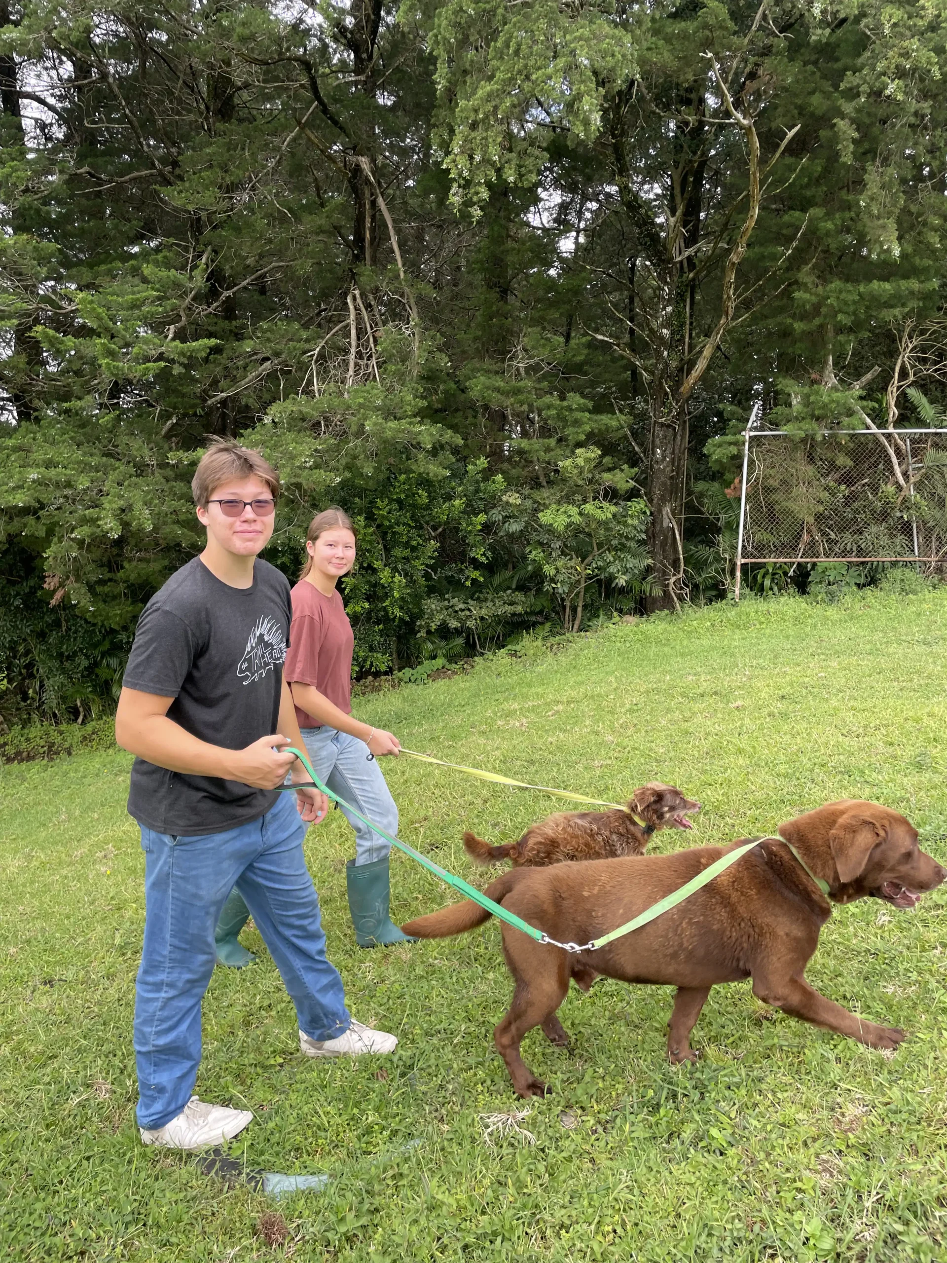 Dog Shelter 3
