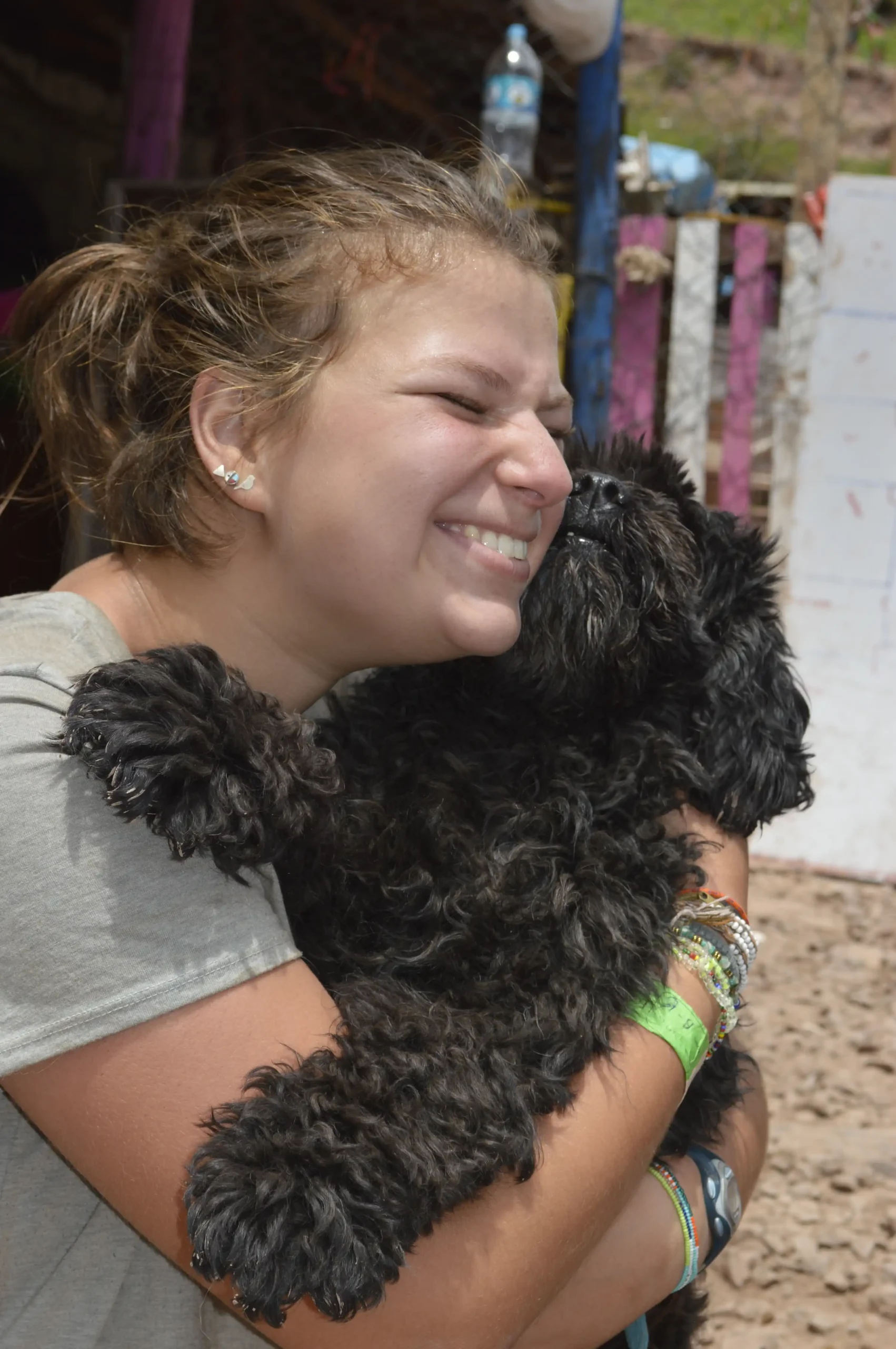 Dog Shelter 32