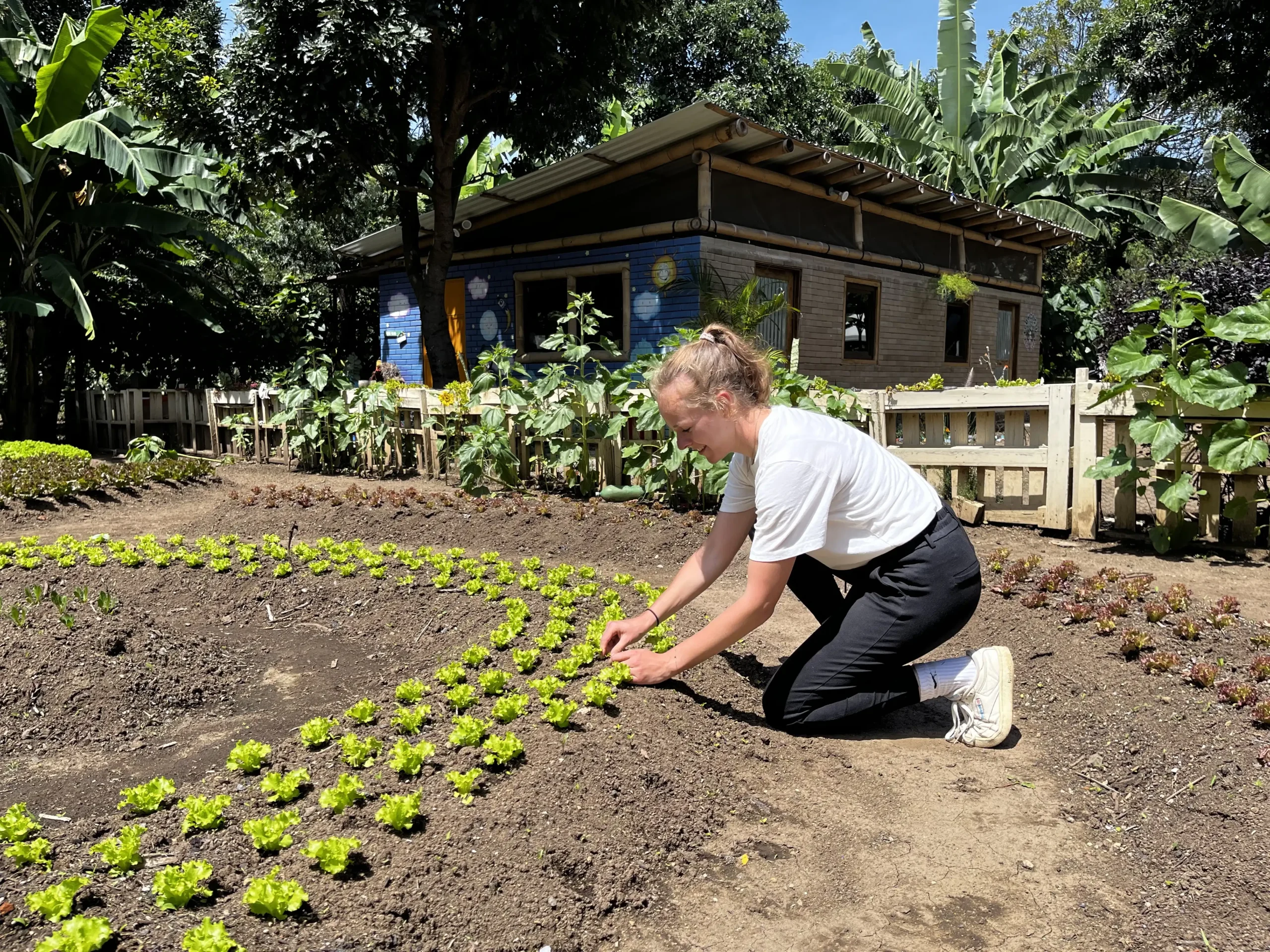 Eco-Agriculture 22