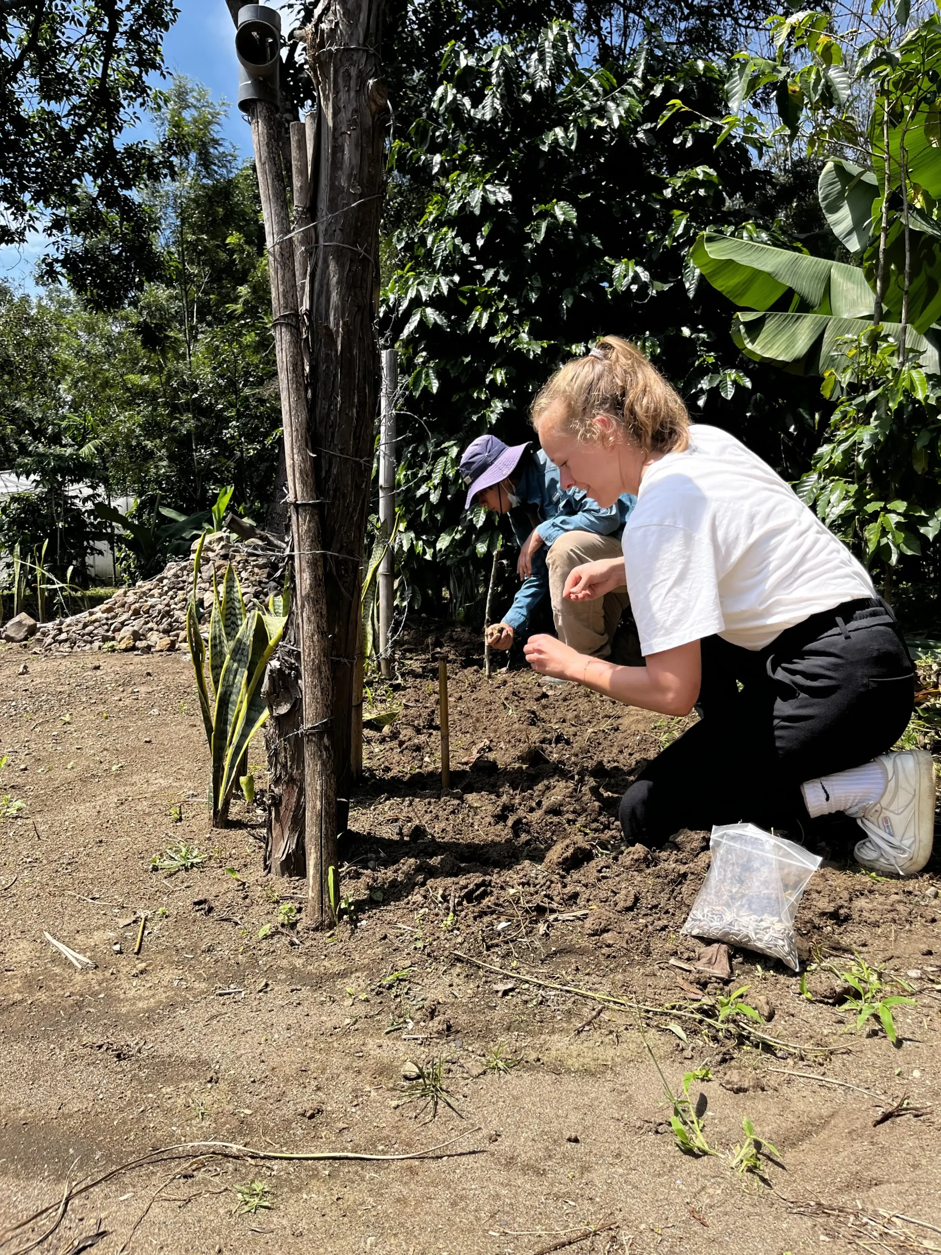 Eco-Agriculture 23