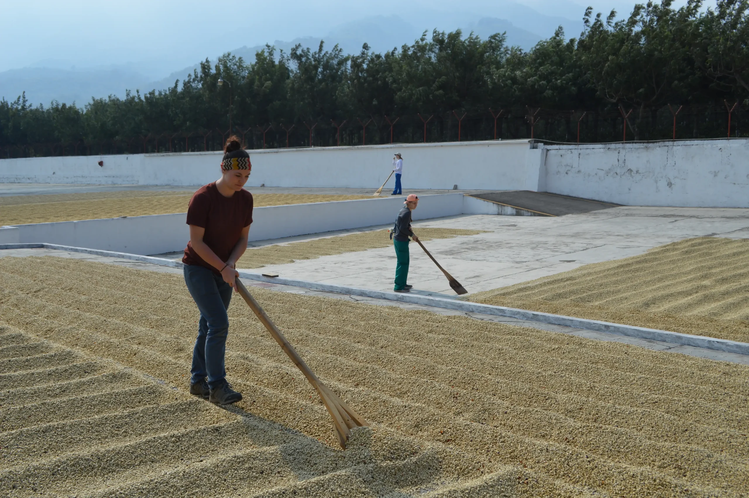 Eco-Agriculture 24