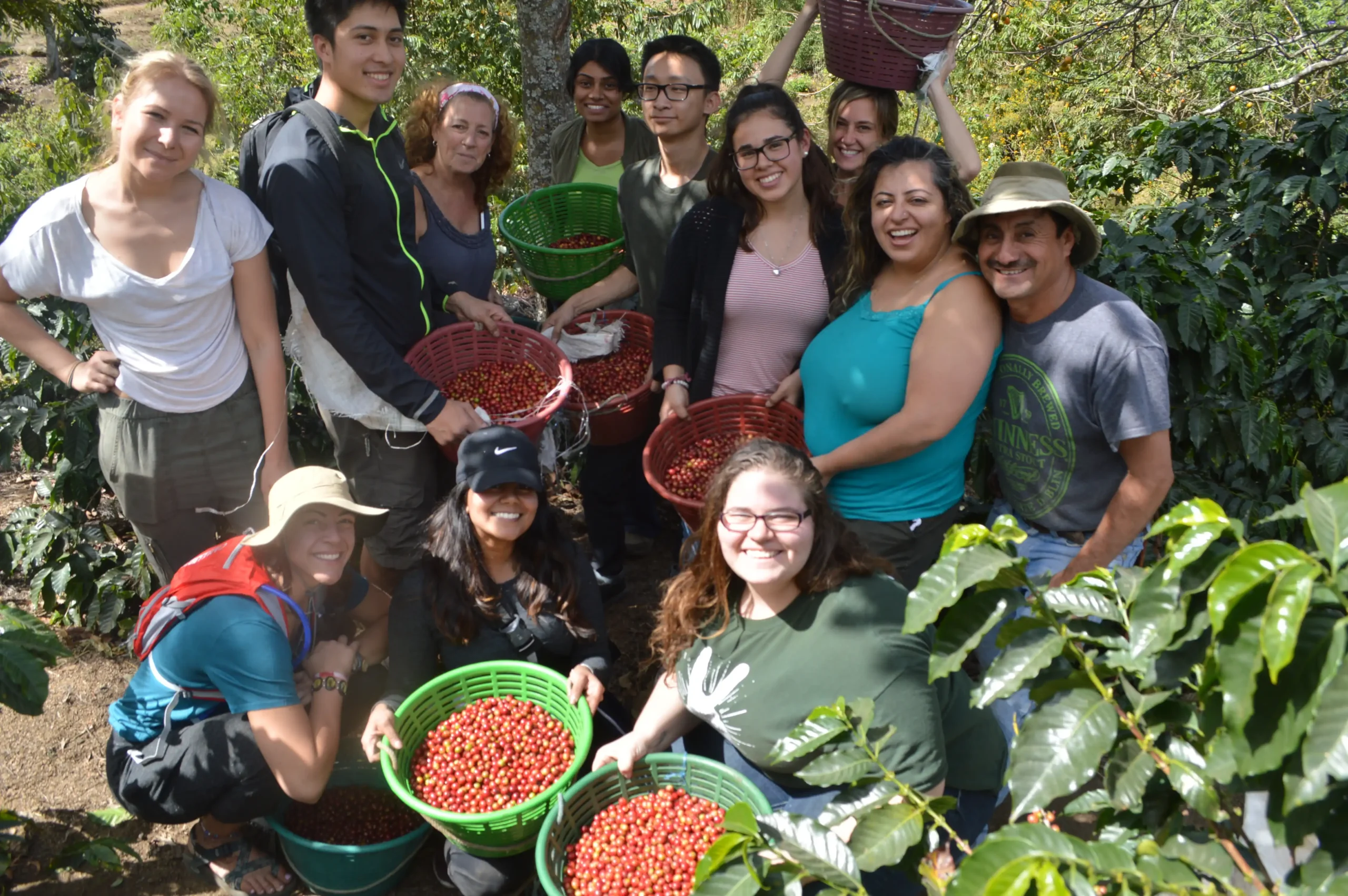 Eco-Agriculture 25