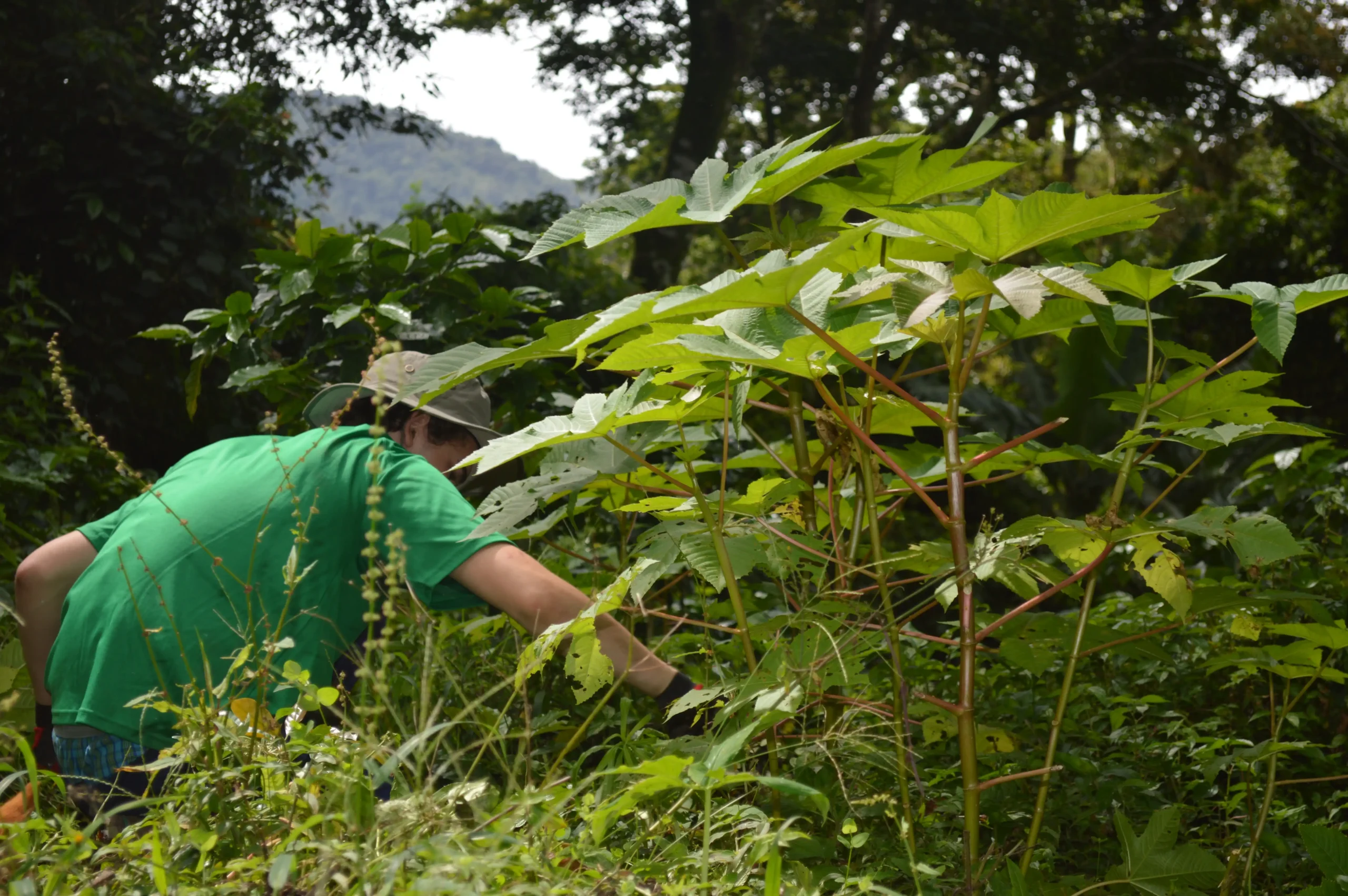 Eco-Agriculture 3