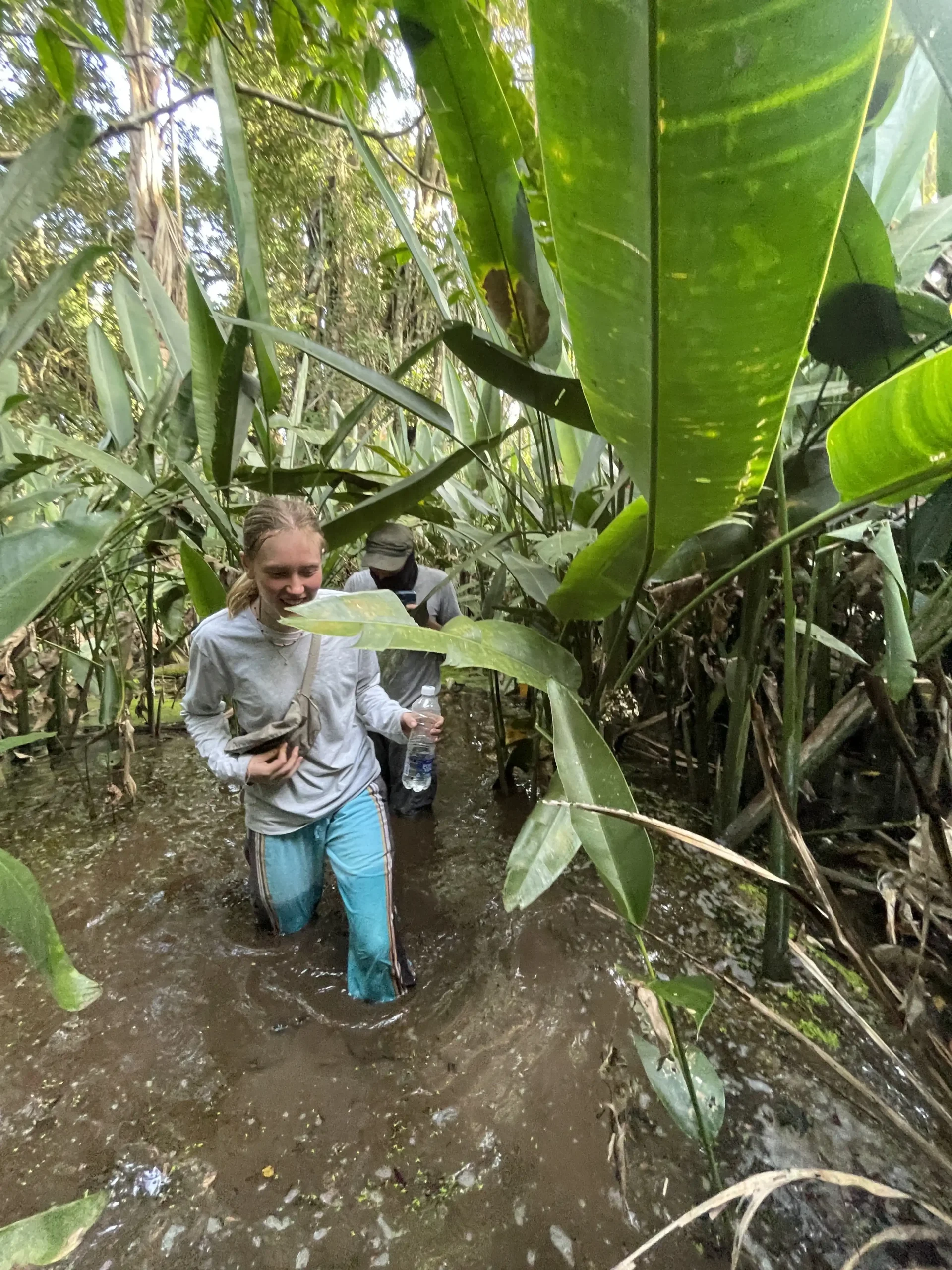 Jungle Conservation 33