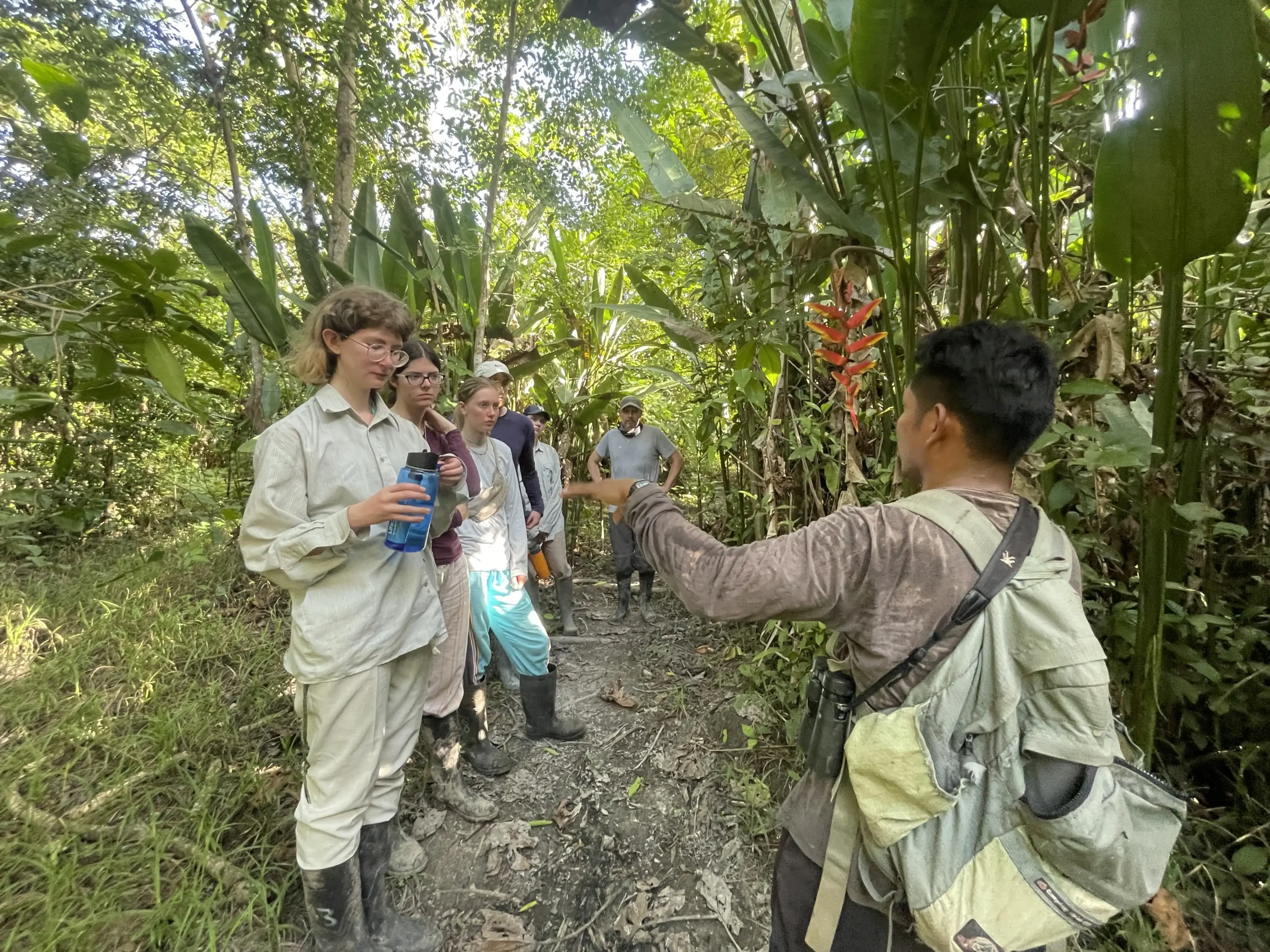 Jungle Conservation 34