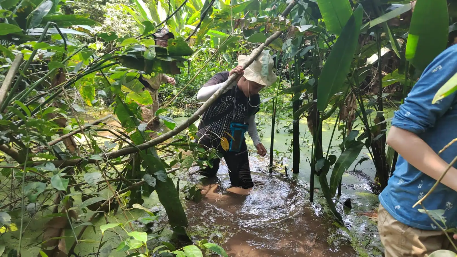 Jungle Conservation 35